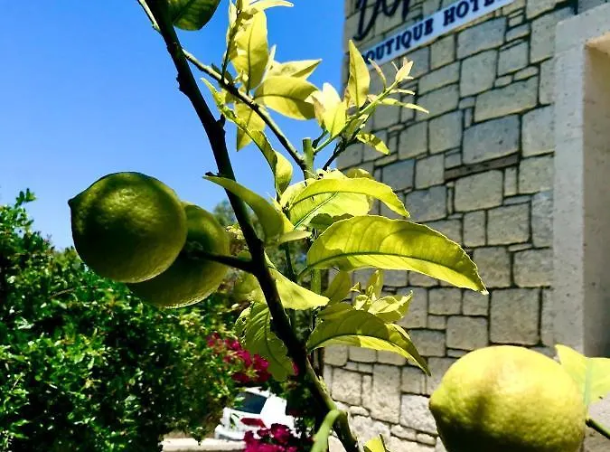 Duman Boutique Hotell *